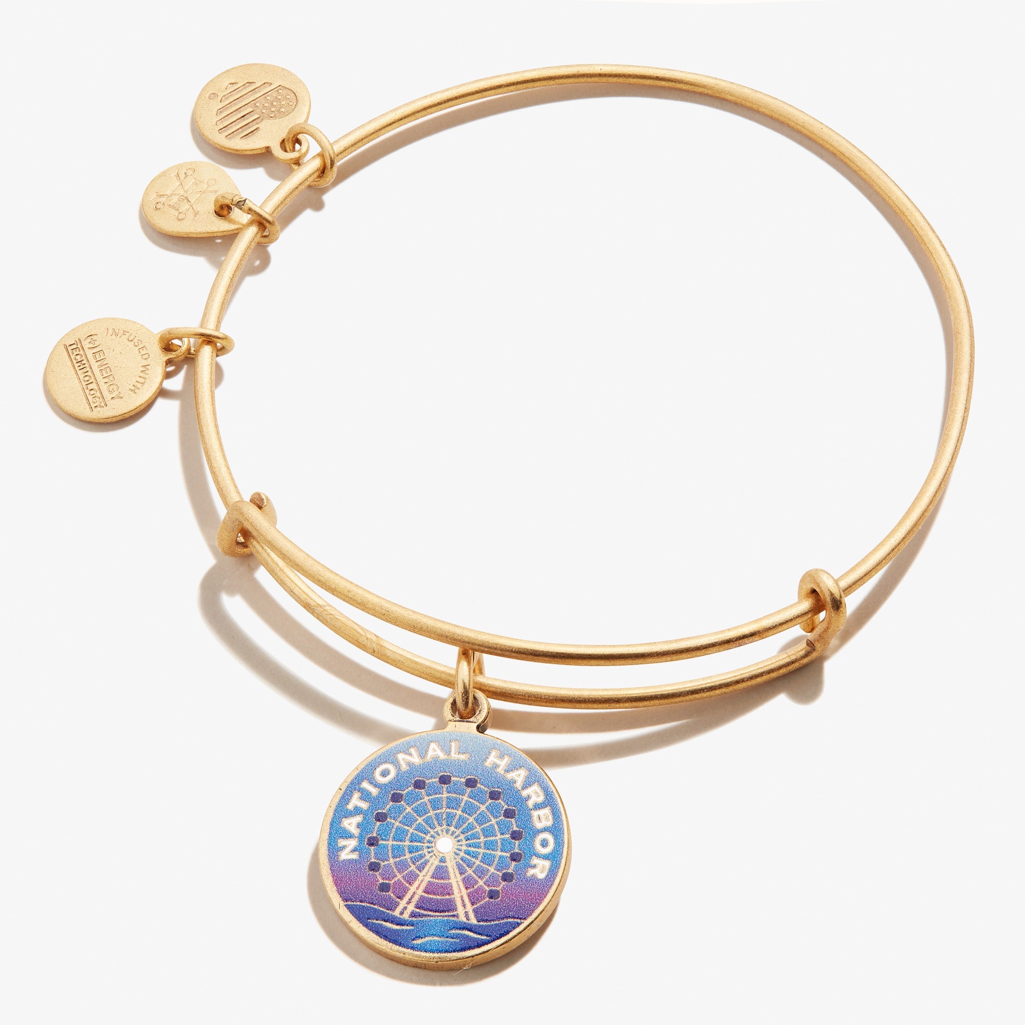 National-Harbor-Charm-Bangle-Gold-Front-A19EBNHRG.jpg
