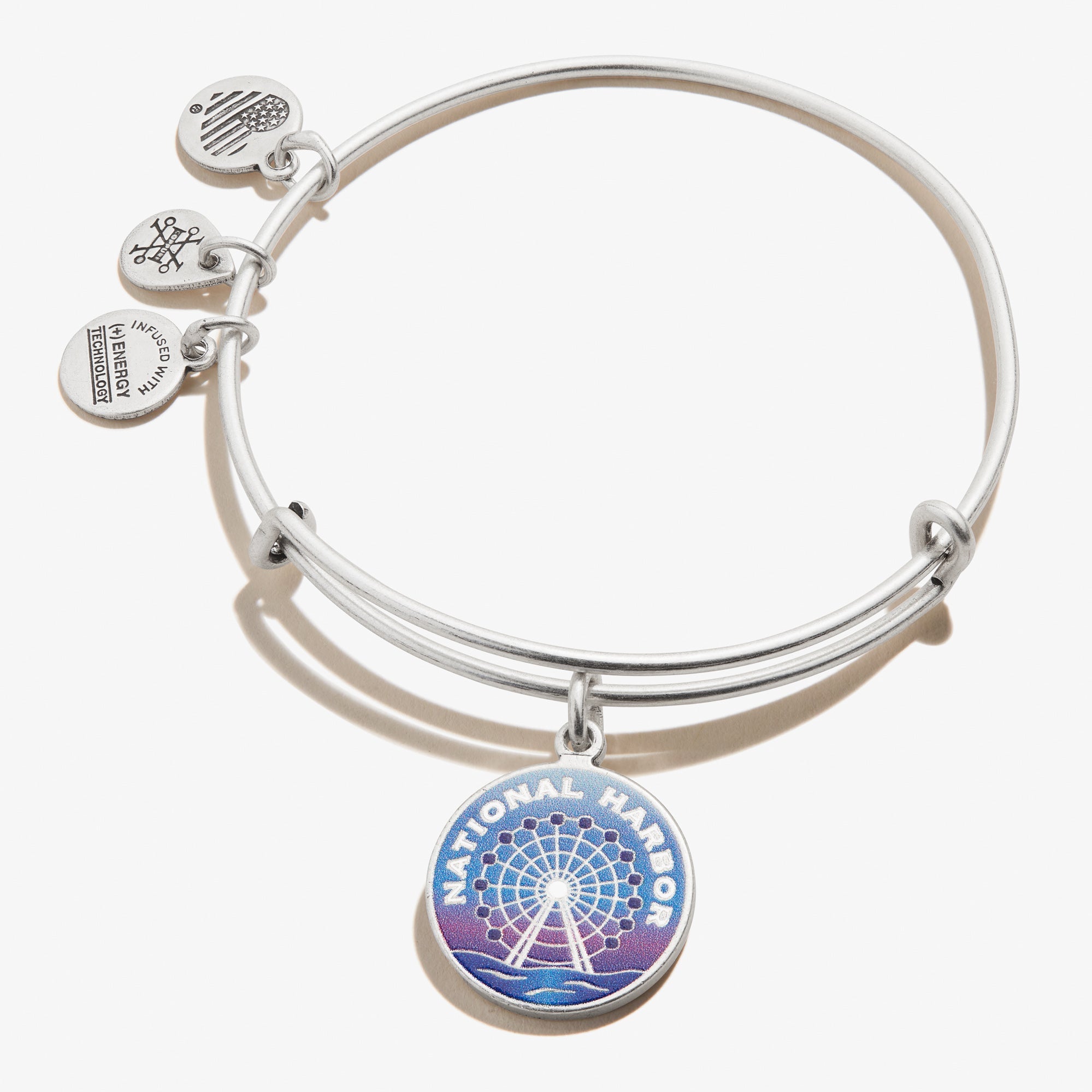 National-Harbor-Charm-Bangle-Silver-Front-A19EBNHRS.jpg