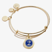 Number 2 Charm Bangle | Grace, Comfort, and Sensitive