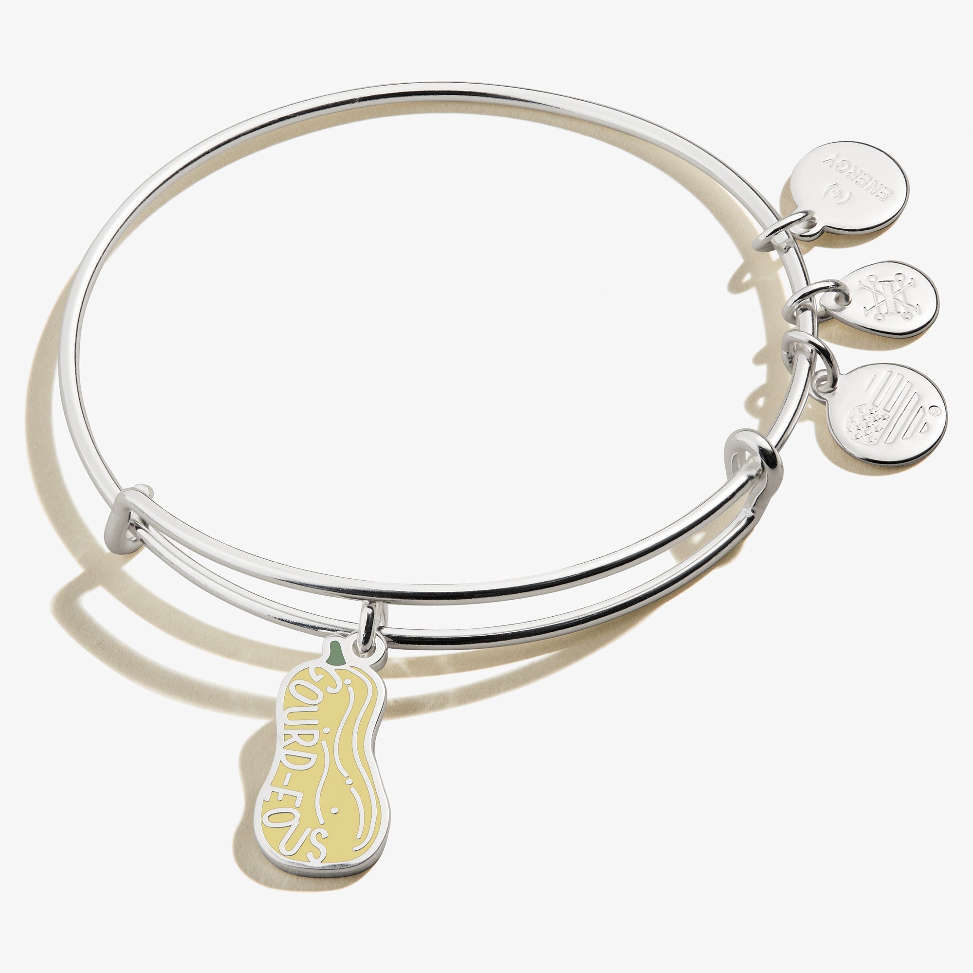 gourd-eous-charm-bangle-bracelet-front-A21EBGRDSS.jpg