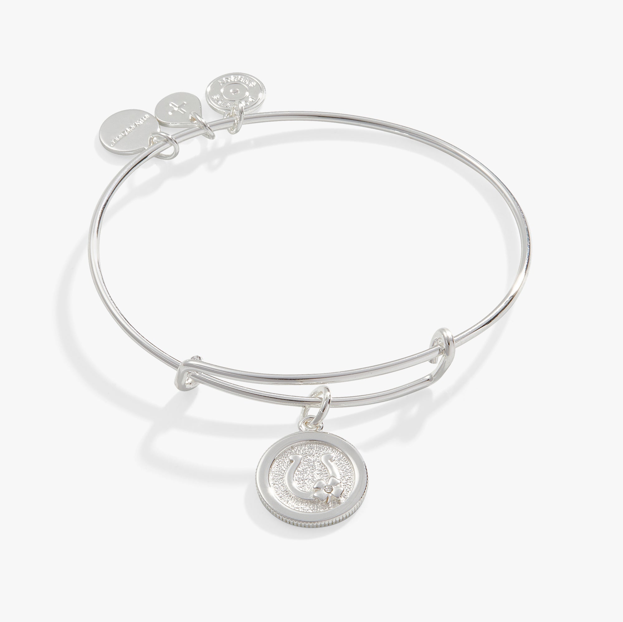 horseshoe-and-clover-charm-bangle-bracelet-AA747023SS.jpg
