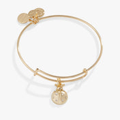 Ladybug Charm Bangle Bracelet