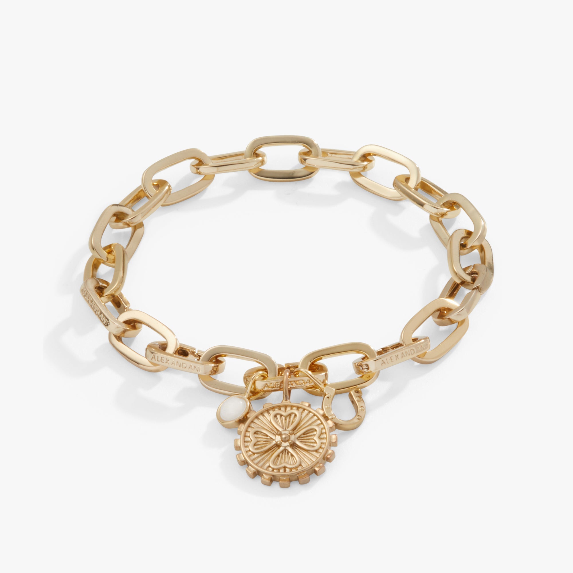 Love + Luck Multi-Charm Interchangeable Bracelet