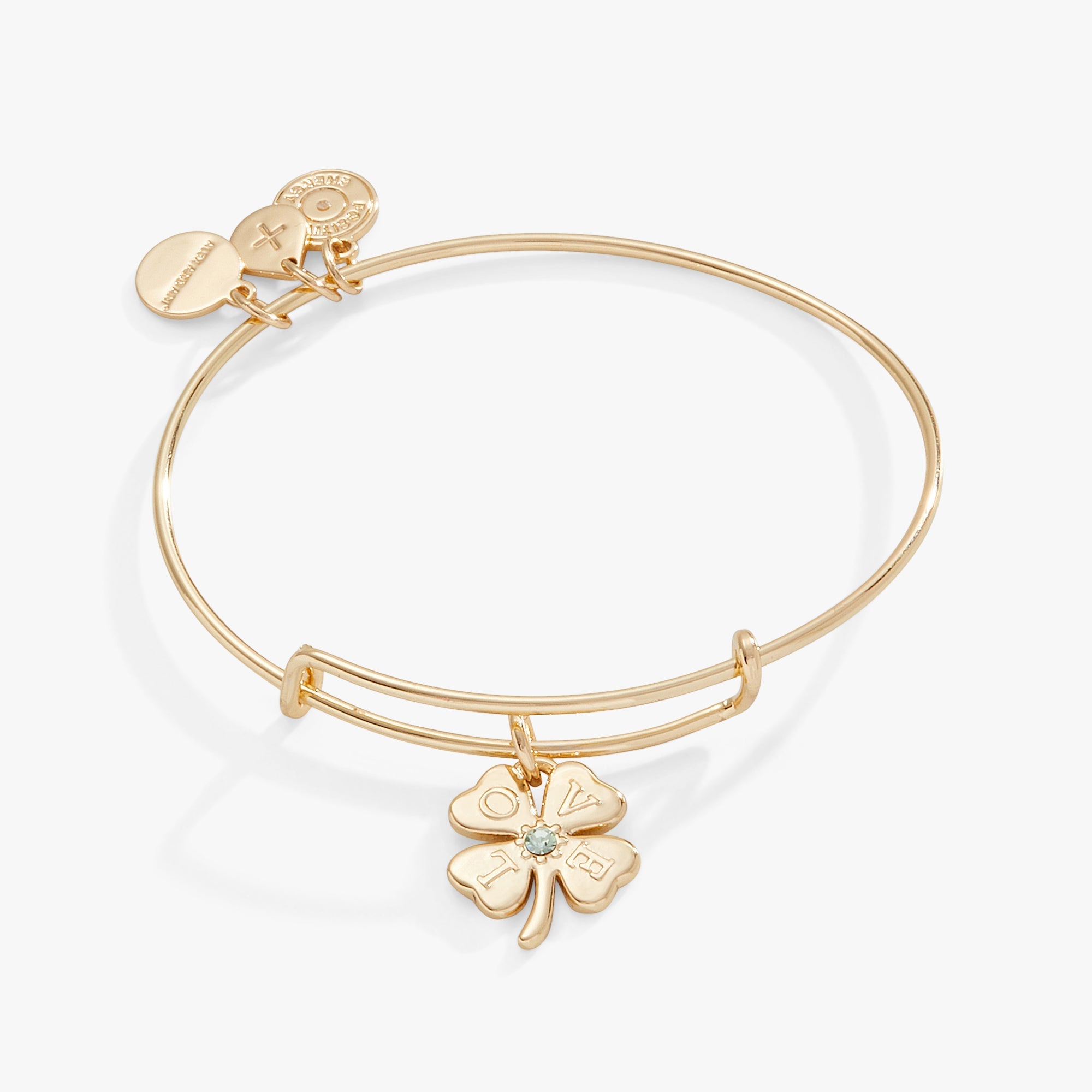 love-clover-charm-bangle-bracelet-AA754623SG.jpg