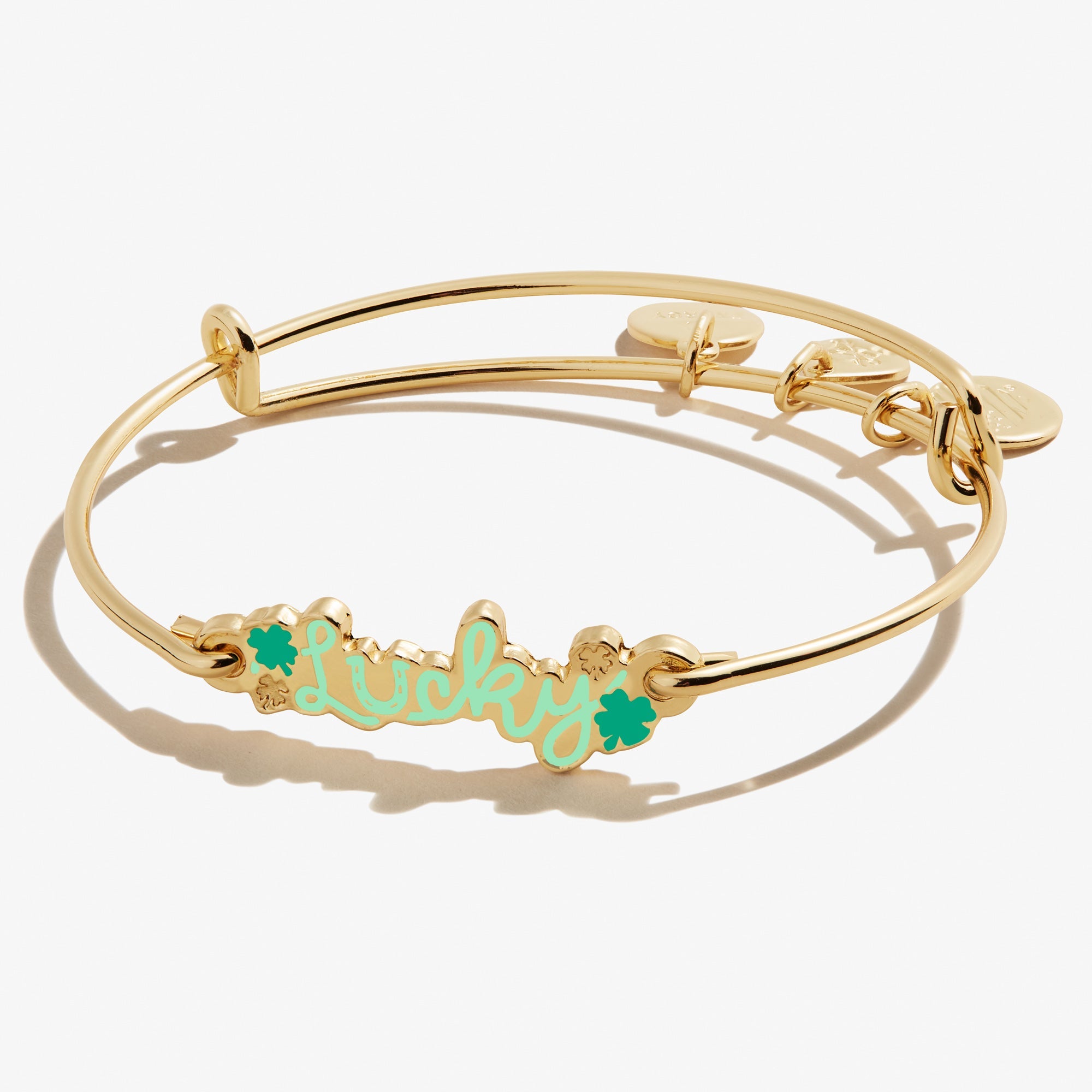 Lucky' Inline Bangle Bracelet